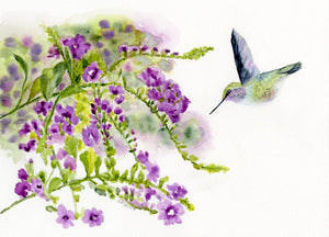 Anna's Hummingbird with Purple Flowers