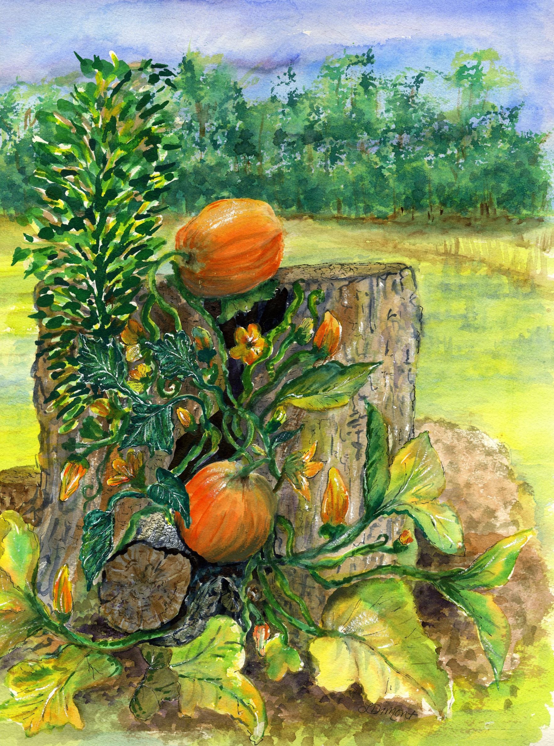 Pumpkins on the Farm
