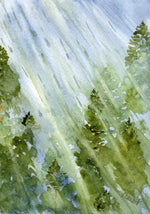 Load image into Gallery viewer, Forest Rain

