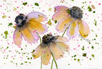 Load image into Gallery viewer, Oxeye Daisies
